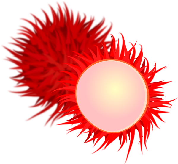 Rambutan Image